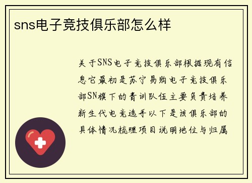 sns电子竞技俱乐部怎么样