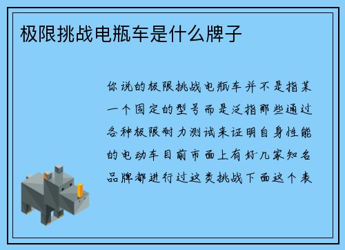 极限挑战电瓶车是什么牌子